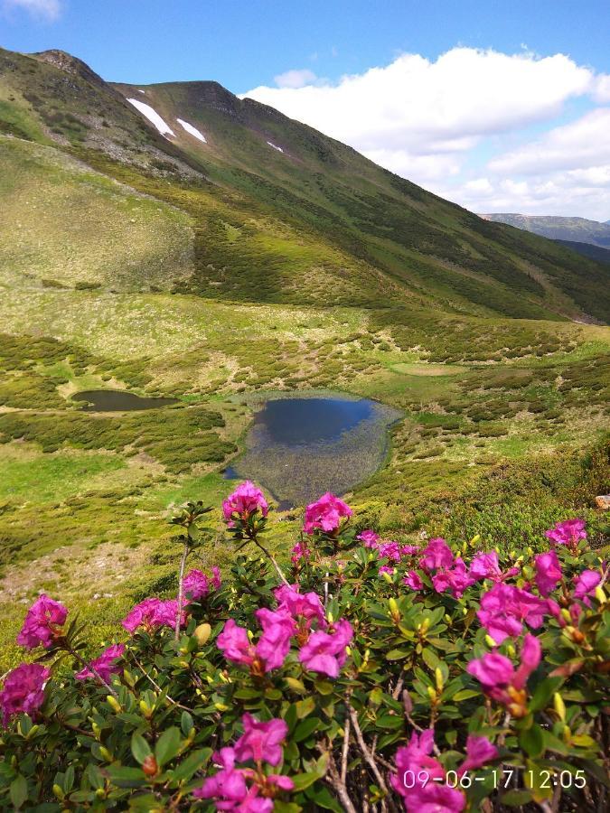 فندق Zelena Dacha دراغوبرات المظهر الخارجي الصورة