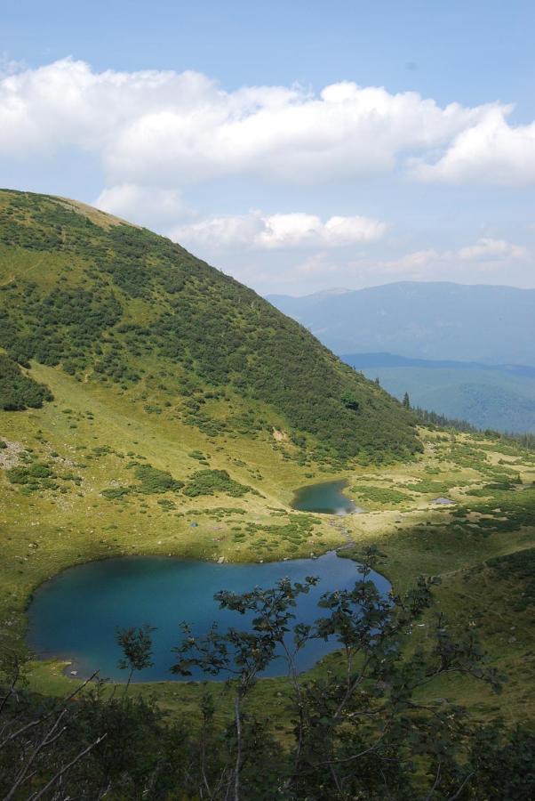 فندق Zelena Dacha دراغوبرات المظهر الخارجي الصورة